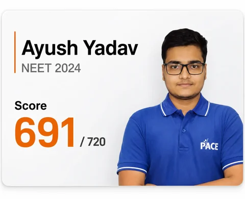 Ayush Yadav — NEET 2024, Score 691 / 720 (PACE IIT & Medical result artwork)